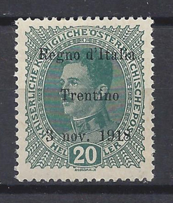 EX TERRE REDENTE Trentino Alto Adige 1918 Soprastampato 5c MH* 