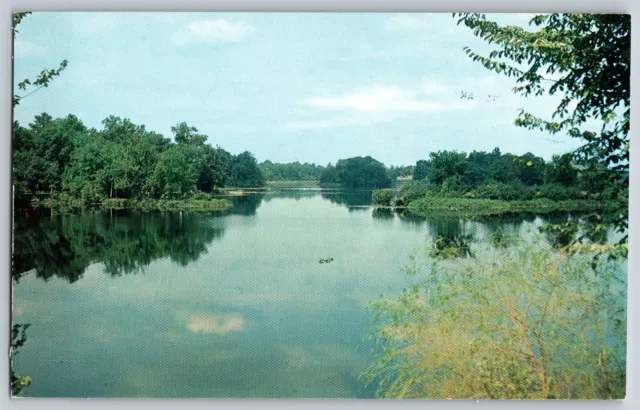 Milford, Delaware DE - The Beautiful Fresh Water Silver Lake - Vintage Postcard