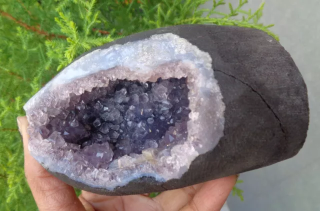 Apophyllite ,Calcite Crystals In Shiny Amythst Geode Minerals Specimen #E25