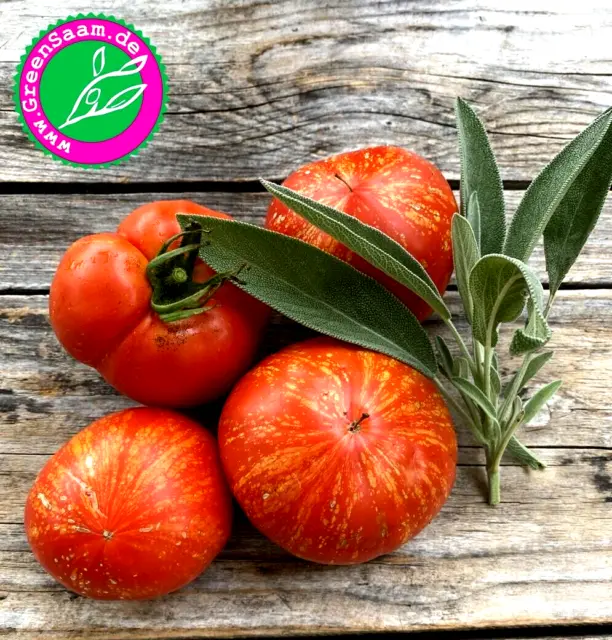 Tomatensamen 🍅 Feuerwerk  ☀️ 10+ Samen Rarität alte Sorte Tomaten