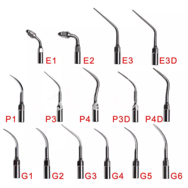 Dental Ultraschall Skalierung Endo Periode Spitze passend für EMS Specht G P E 42 Typ