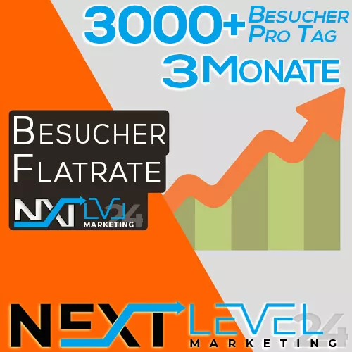 Flatrate 📈 Täglich 3000+ GOOGLE Besucher ✔︎ Organic DE Traffic ★ SEO ★ 3 Monate