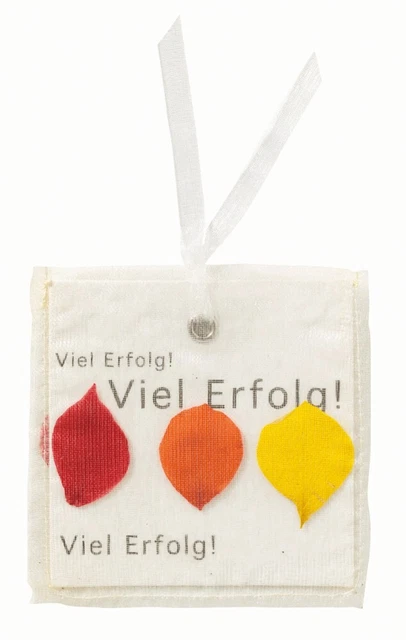 Geschenkbrief Glückwunschkarte VIEL ERFOLG