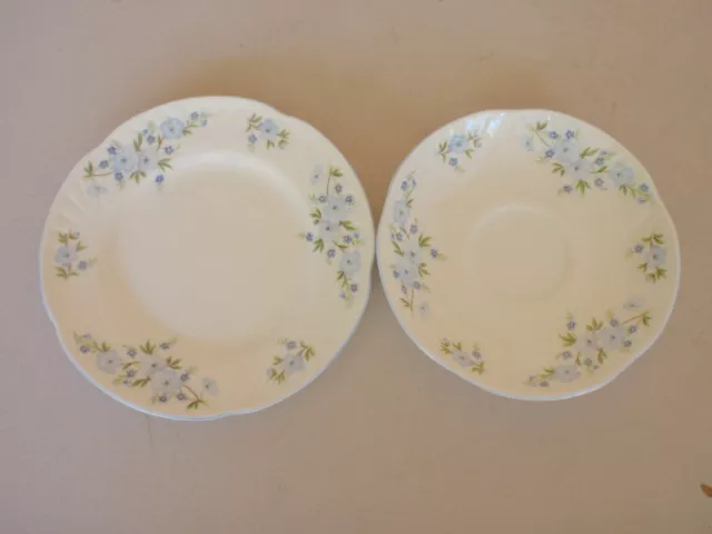 Vintage Crown Staffordshire Fine Bone China ROCK GARDEN Plate & Saucer