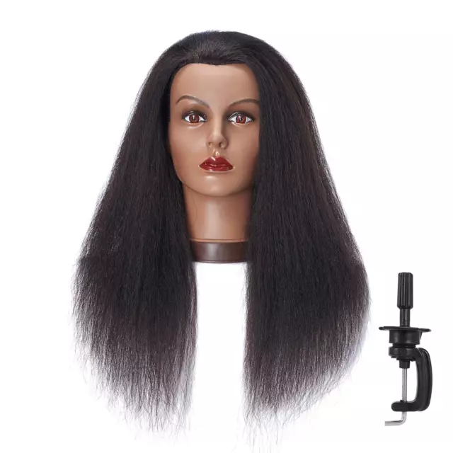 Male Mannequin Head Remy Human Hair Styling Training Head Dolls