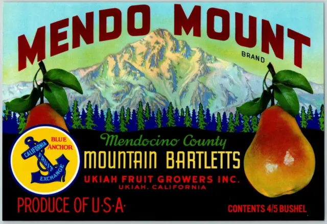 Mendo Mount Bartlett Pears Vintage Original Paper Fruit Crate Label Ukiah, CA