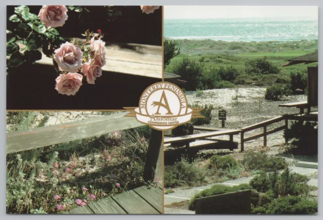 State View~Pacific Grove CA~Asilomar Conference~4 Views~Continental Postcard
