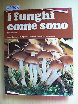 S. Viola - I Funghi Come Sono - De Agostini/ Ed. Artistiche Maestretti - 1976