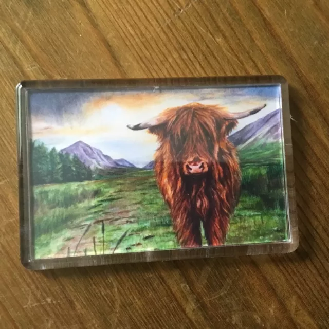 Highland Cow Coo Scottish Scotland Fridge Magnet 75mm x 50mm