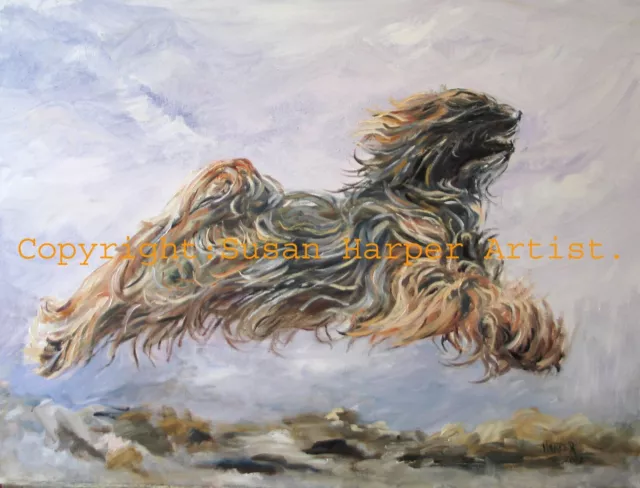 Tibetan Terrier Signed Dog Print by Susan Harper Unmounted