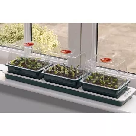 Windowsill Propagator Electric Trio Top Heated Base For Young Plants & Seedlings