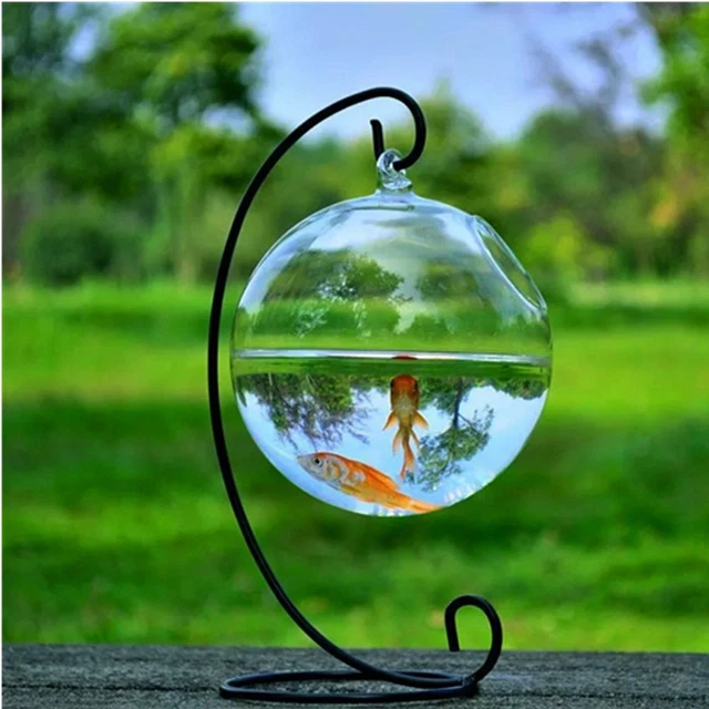 With Stand Glass Vase Fishbowl Transparent Hanging Glass Fish Bowl Fish Tank
