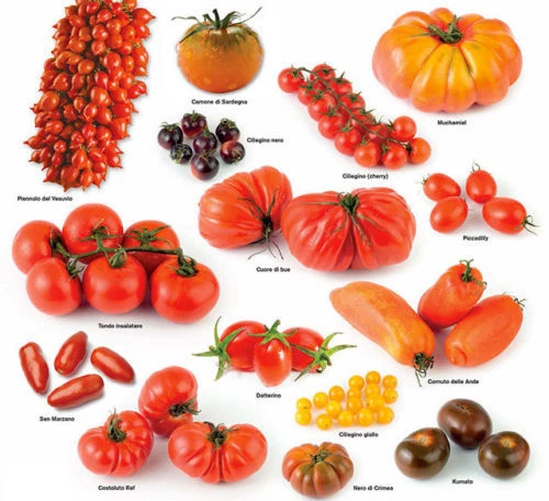 450 Semi Di Pomodoro Rari In Mix 9 Varietà + Omaggio - Senza Marca - 2