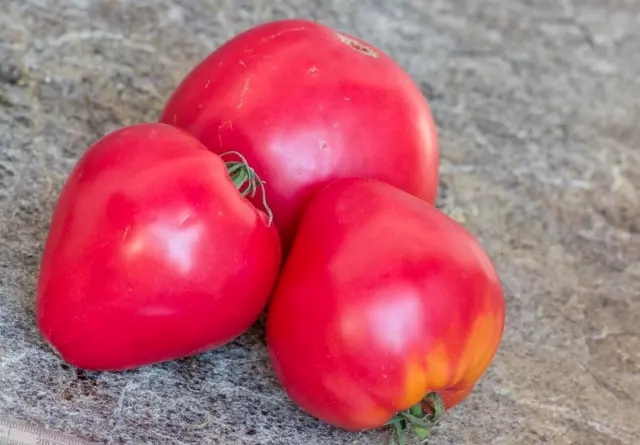 Coeur de Poulain tomato - 5+ Seeds - Samen - Graines - Semillas - P 450