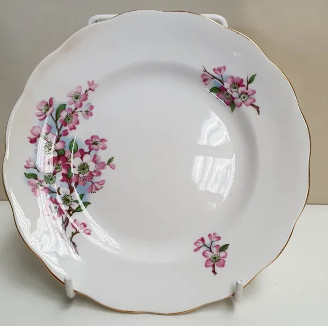 Chapmans Longton Royal Mayfair Pink Blossom Side Plate c1938-41 Made in England