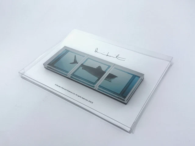 Damien Hirst マグネット DAMIEN HIRST SHARK Acrylic Magnet Contemporary Art Museum Souvenir