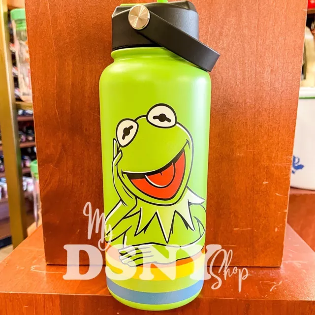 Kermit the Frog Stainless Steel Water Bottle with Built-In Straw – The  Muppets