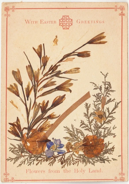 EASTER GREETINGS - Israel - Holy Land Flowers - c1910s era 3.5 x 5.2 inches card