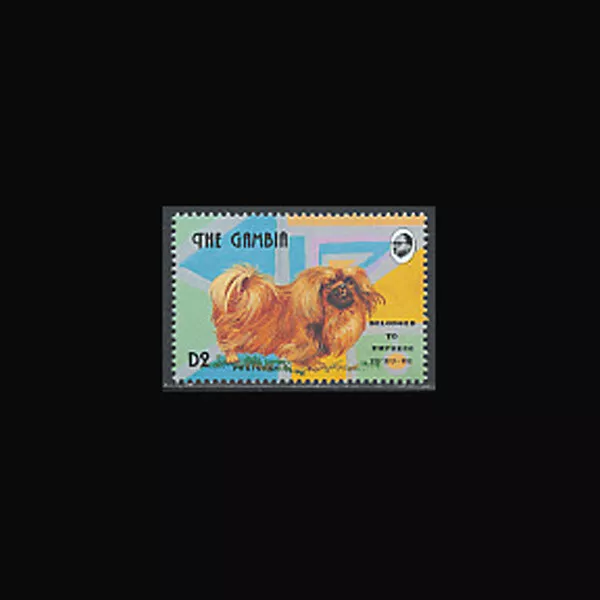 Gambia, Sc #1400i, MNH, 1993, Dog, Pekinese