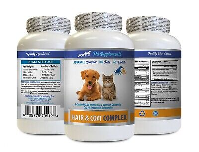 dog healthy coat - PETS HAIR AND COAT COMPLEX 1B - vitamin b12 for dogs