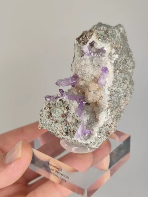 🔥 Top Amethyst Calcit Stufe - Osilo, Sardinien 🔥