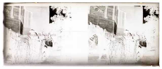 Vintage Amateur Family c1920 Photo NEGATIVE Stereo Glass Plate PL28L2n6  2
