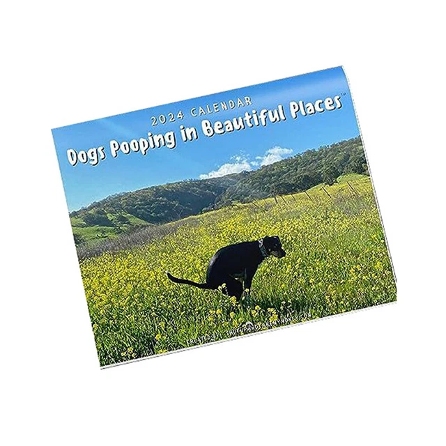 2024 WALL CALENDARDOG Pooping Calendar, Monthly Calendar Planner,Thick