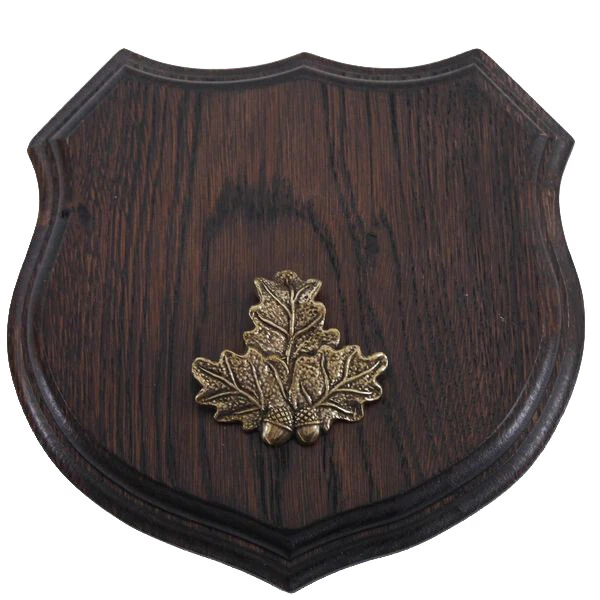 1x Armas Jabalí Escudo de Trofeo Af 17cm. Hoja de Roble Portada Pequeño