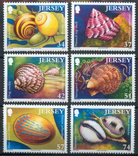Jersey 2006 Marine Life VI: Sea Shells set SG 1264-1269 MNH mint *COMBINED POST*