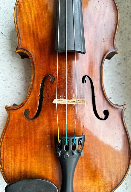 Alte Geige Violine 4/4 Sesto Rocchi 1959 fine violin labeled 10