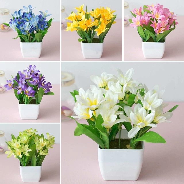 Simulation Pot de Fleurs Intérieur Extérieur À Accueil Bonsaï Décoration Cadeau
