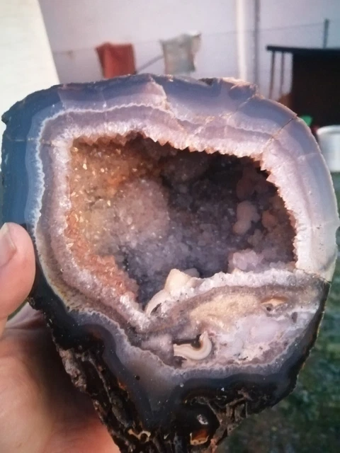 Tolle , sehr schöne Amethystdruse von Brasilien, Minas Cerais