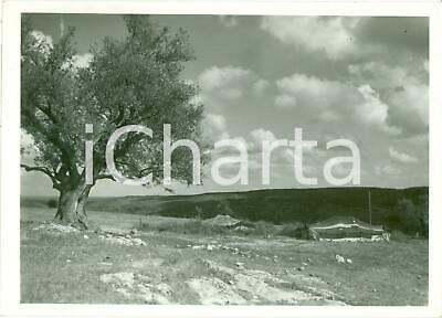 1935 ca GEBEL EL-ACHDAR (LIBIA) Accampamento italiano sulla montagna *Fotografia