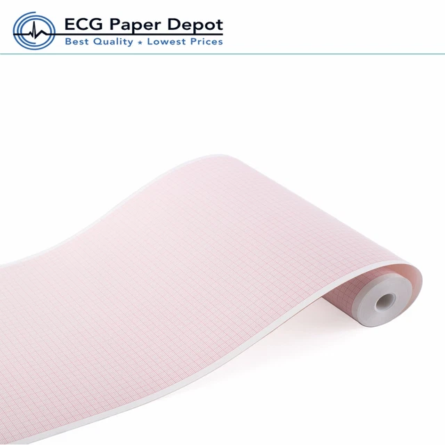 Rouleaux Papier Thermique 50 Mm X 20 M Pour ECG/EKG – Lot De 5, Neuf, Qualité Clinique