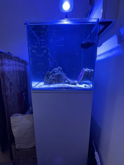 Aqua One Mini Reef 90L Marine Aquarium Optiglass fish tank White Cabinet Sump