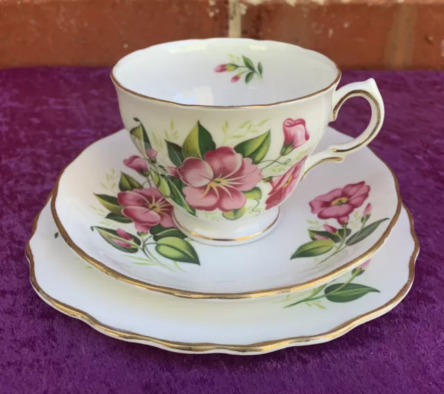 VINTAGE ROYAL VALE TRIO - Patt No. 7664, English Bone China c1960’s