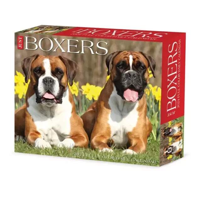 Willow Creek Boxers 2024 6.2" x 5.4" Box Calendar w