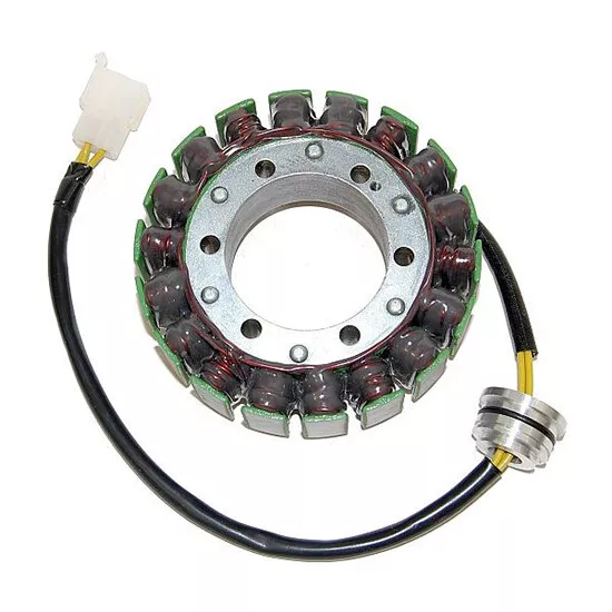 ElectroSport Stator ESG165 für Lichtmaschine, 270-165