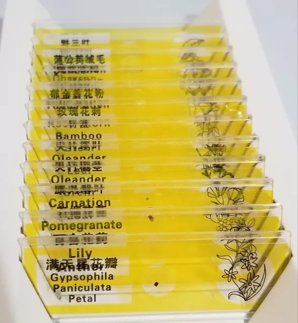 12 Prepared Slides Professional Type Hard Plastic Plants Flowers