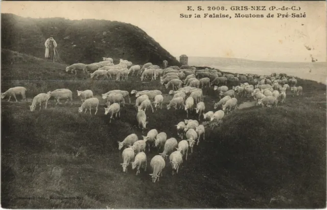 CPA GRIS-NEZ Sur la Falaise Moutons de Pré-Salé (979826)