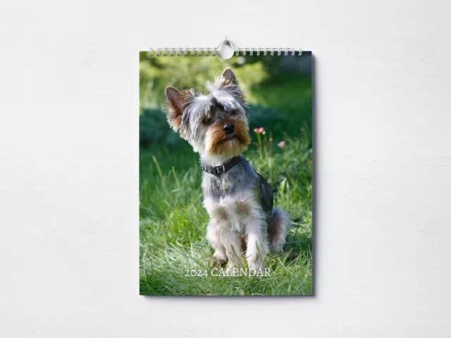 Yorkshire Terrier Calendar 2024 | Monthly Wall Calendar, A4 Hanging Calendar