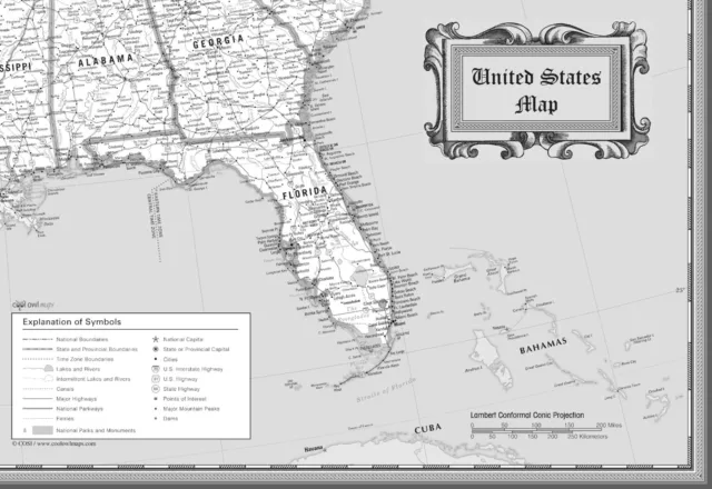 USA Classic Black & White Wall Map Poster - 36"x24" Rolled Paper 2