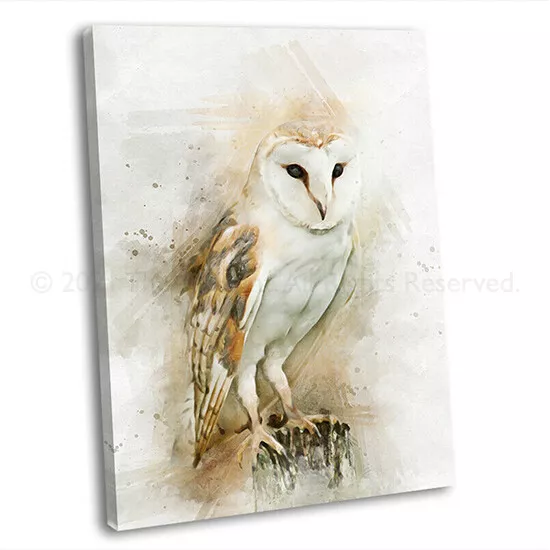 Barn Owl Watercolour Style Canvas Print Framed British Bird Wall Art Picture