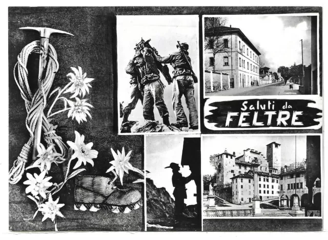 BELLUNO (319) - Saluti da FELTRE (vedute) - FG/Vg 1959