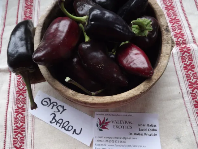 Gypsy Baron Pepper - 10+ seeds - SWEET and PURPLE! Ca 005