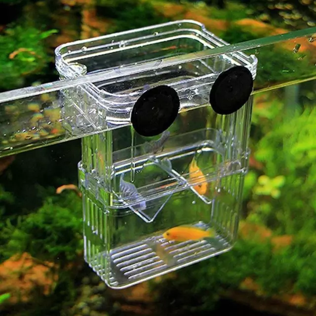 1xFish Breeding Box Shrimp Hatchery Fish Tank Incubator Tool Isolation T9O9