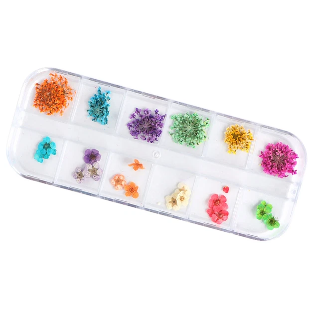 Adesivi Nail Paster Colorati Vera Squisita Nail Art Gypsophila