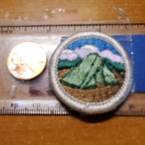 BSA CAMPING MERIT Badge current issue 4.99 PicClick
