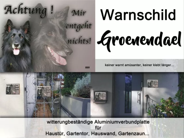 Belgischer Schäferhund GROENENDAEL Hundeschild SCHILD Metall Alu-Dibond NEU #1 2