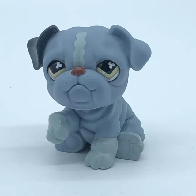 BULLDOG DOG #668 - Authentic Littlest Pet Shop - Hasbro LPS Grey Clover
